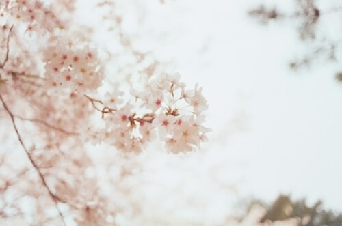 Apaiser son stress naturellement Apaiser son stress naturellement